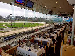 Clonmel Greyhound Stadium